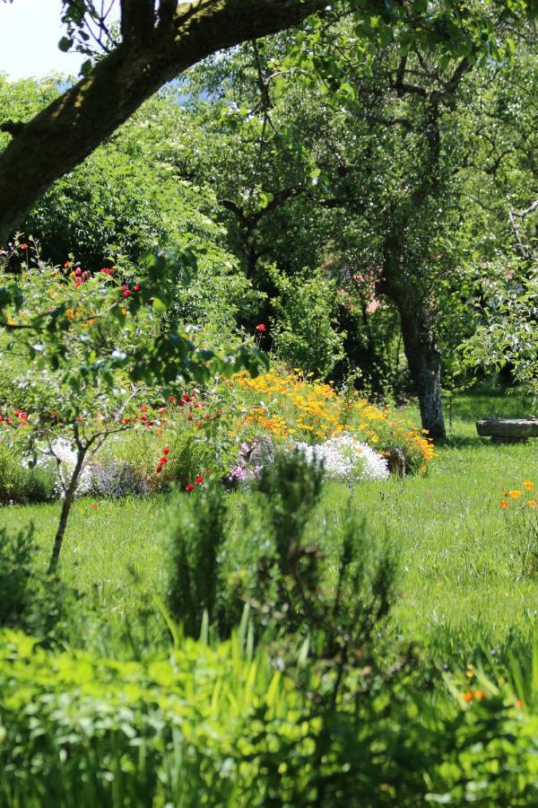 Pazo De Chaioso Ribeira Sacra Maceda エクステリア 写真